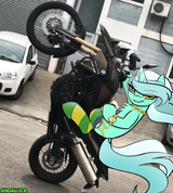 lyra dando grau