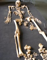 full-skeleton-1