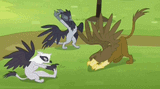 530097__safe_animated_screencap_griffon_rainbow+falls_spoiler-colon-s04e10_loop_stretching_irma_gaston
