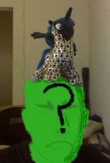 Loon_on_head
