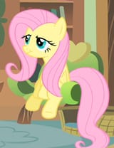 flutterretard