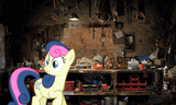 anim25