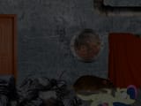 82