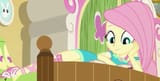 imagefluttershy