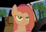 pinkie supreme gentlemare