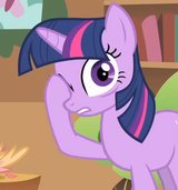 twi beseeches the viewer