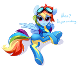RainbowDash_cat_WonderboltsSuit