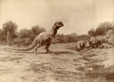 t rex and triceratopses