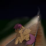 roadkill