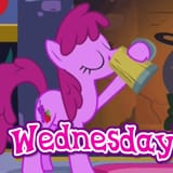 berry wednesday