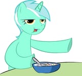 37240