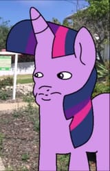 Screenshot_20250629_142100_Firefox
