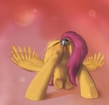 23154858