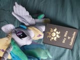 celestianism bible plush for reference