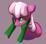 cheeripet