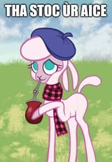 pom2