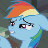494127