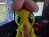 1706397659497
