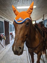 elmer hat
