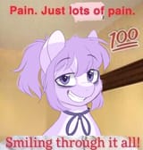 3253938