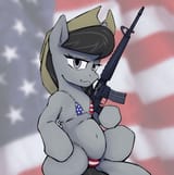 3634463