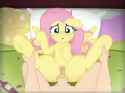 plap_thumb.jpg