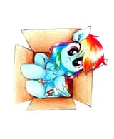 dashinabox