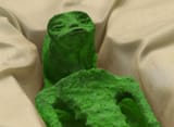 anon mummified