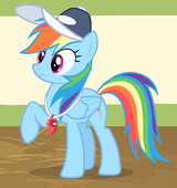 Dash coach