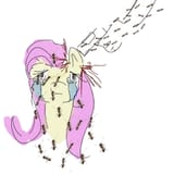ant attack