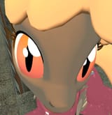 snof