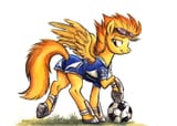 Spitfire the team leader Canterlot_High_by_sophiecabra