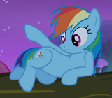 dashie enchants me