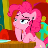 2558504