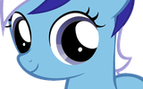 131655877641c