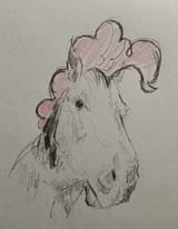 pony