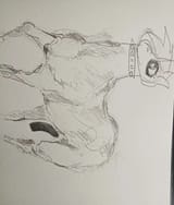 pony2