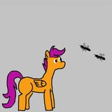 flying ants