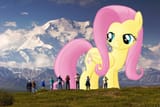 Thread 42329826 OP Image