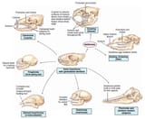 fig010