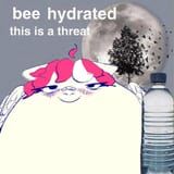 bee_hydrated