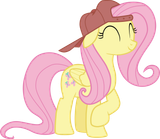 coolshy