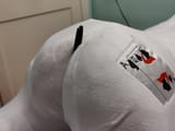 IMG_20250705_004432