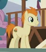 2167219