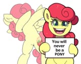 1731814511571686