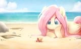 flutterbeach