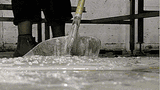 glue
