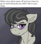 3162923
