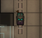 zeb