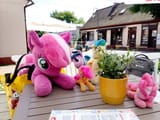 IMG_20250622_113922